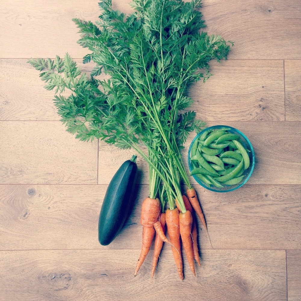 Meet your Posher, Jillian